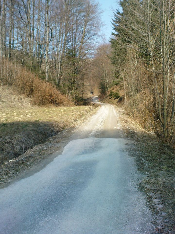 takoj začnemo v breg