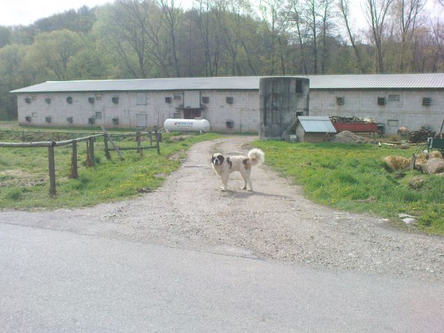 Kar na drugi strani ceste bodi! :-))