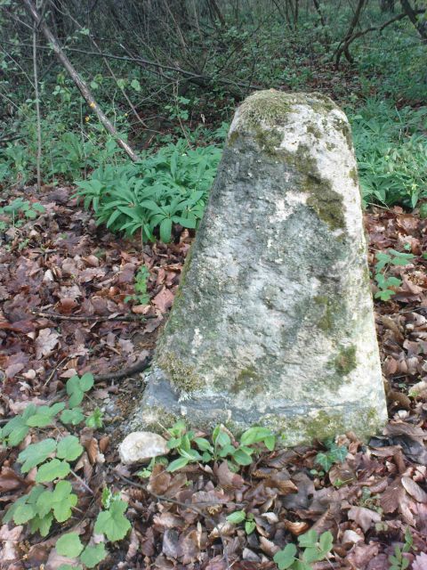 Mejni kamen še od Marije Terezije