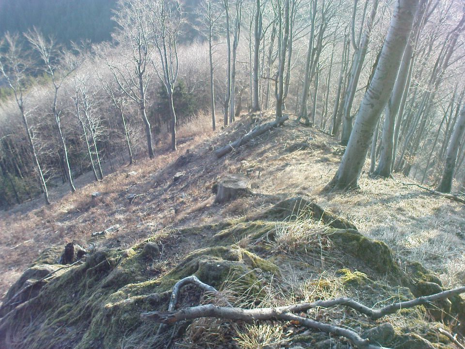 še so vidne lanske posledice požara na gori