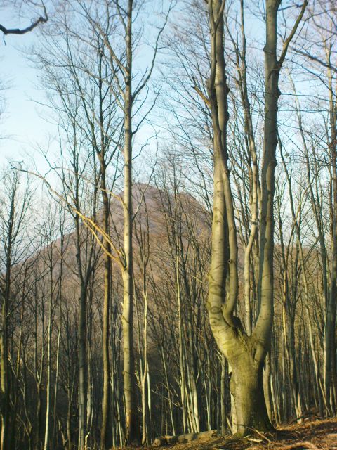 Prvič se pokaže Donačka gora