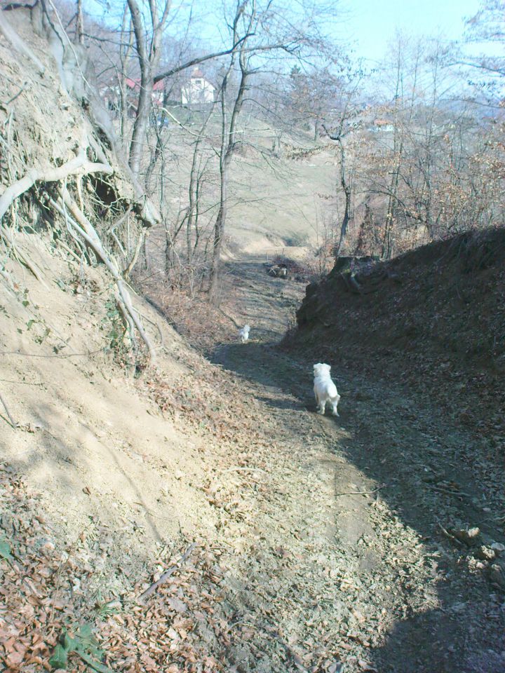 kar lepi del poti sta šla z mano