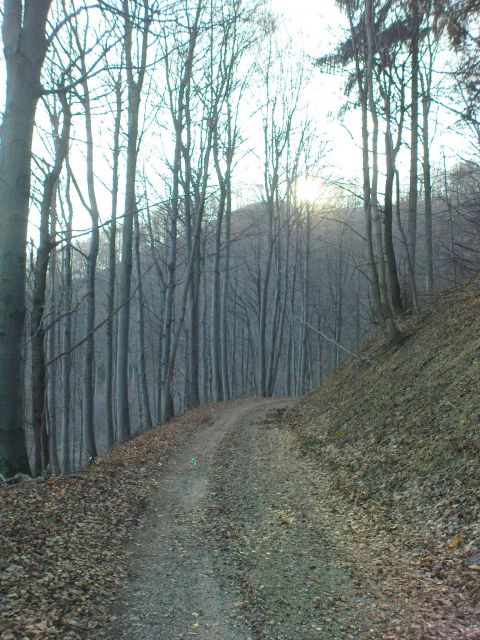 Donačka gora / 17 3./27.4./30.4.2012 - foto