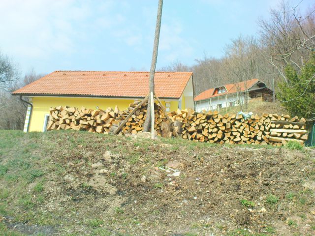 Kak se vidi,so to drva za prodajo :-))