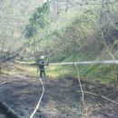 gozdni požar v Gradiščah / 31.3.2012