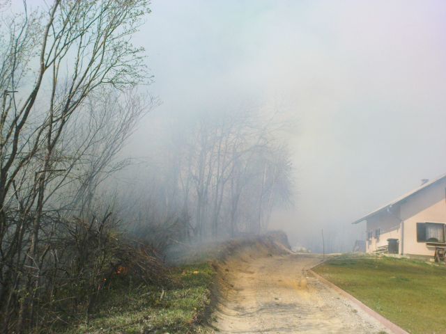Gozdni požar v Gradiščah / 31.3.2012 - foto