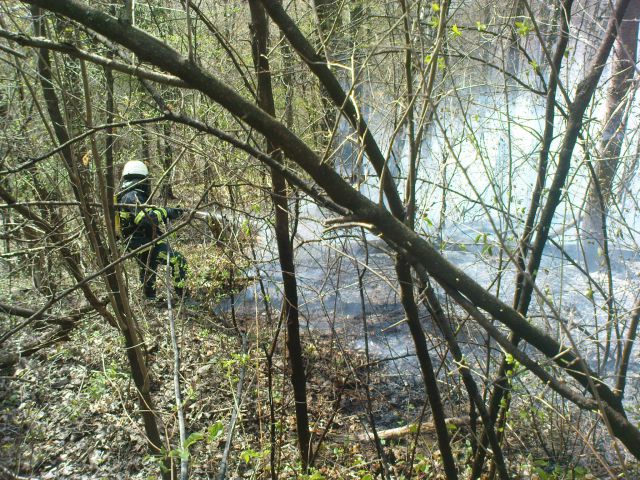 Gozdni požar v Gradiščah / 31.3.2012 - foto