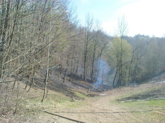 Gozdni požar v Gradiščah / 31.3.2012 - foto