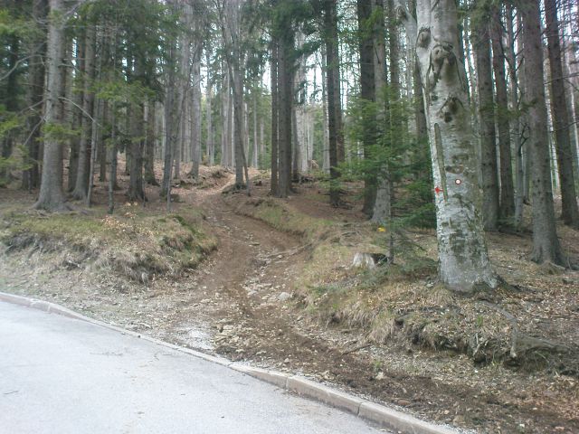 Fram-Mariborska koča / 18.4.2012 - foto