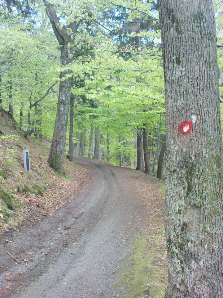 Sp.radvanje-mariborska koča/24.4.2012 - foto povečava