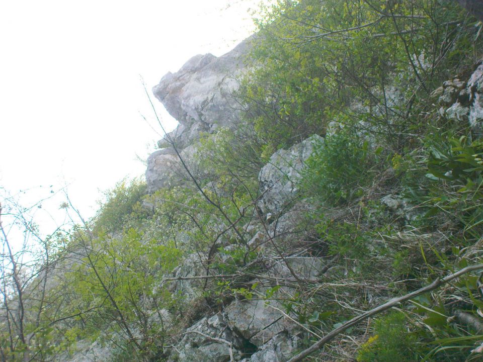 Ravna gora / 29.04./ 3.6.2012 - foto povečava
