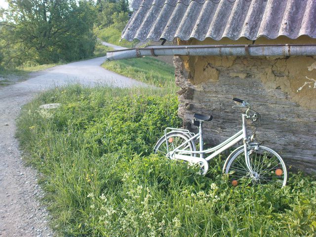 Naprej pa s peciklom :-))