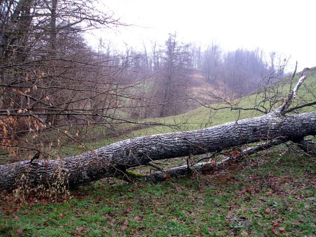 Pohodi po halozah 2012 - foto