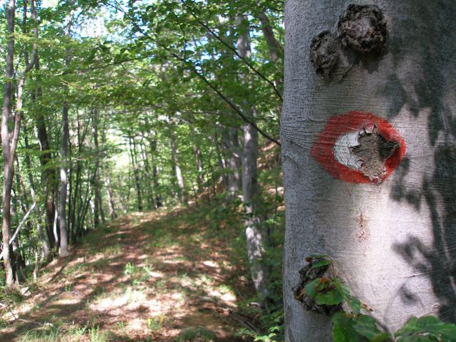 Pohod Gradišča-Trakoščan / 12.5.2012 - foto