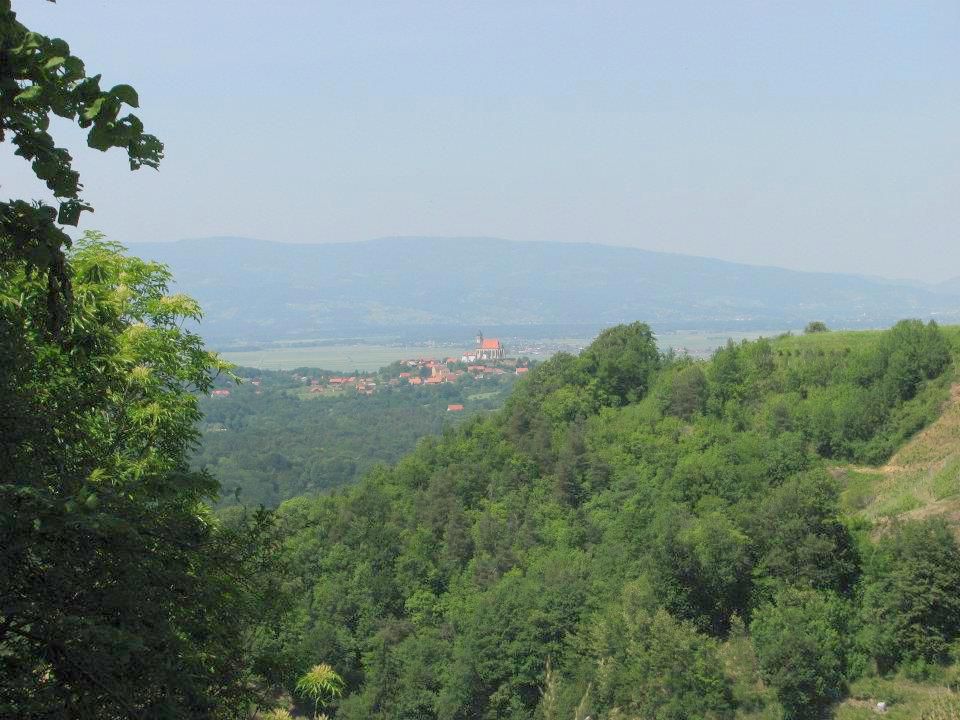 lep pogled na baziliko na Ptujski gori