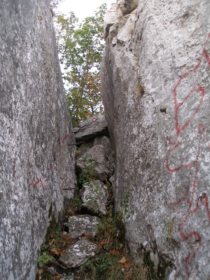 Ravna gora / 9.6./ 26.7./11.8./25.8.2012 - foto povečava