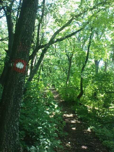 Pohod Gradišča-Strahinjčica / 16.6.2012 - foto