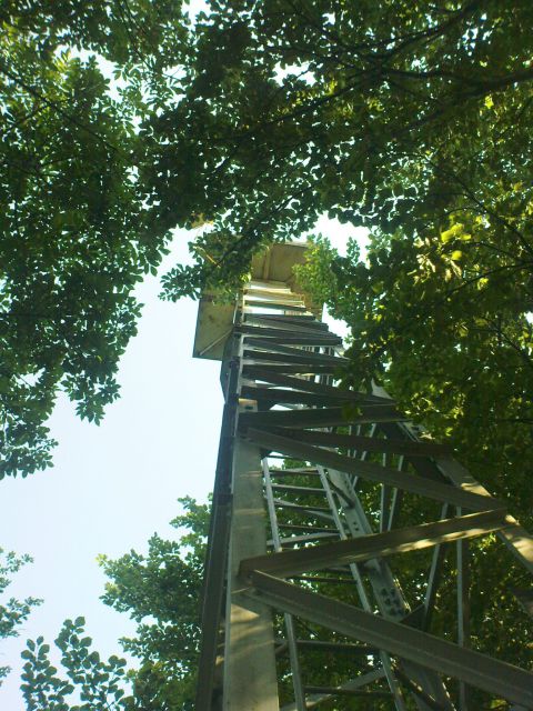 Vrh z razglednim stolpom
