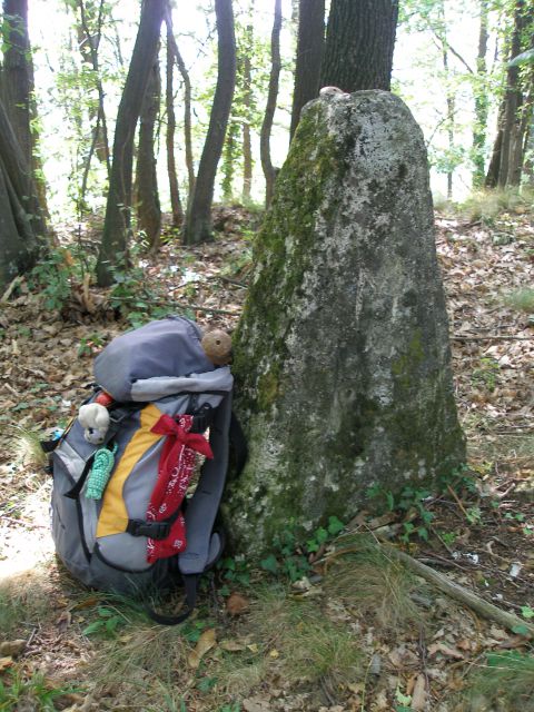 Brezova gora / 19.7.2012 - foto