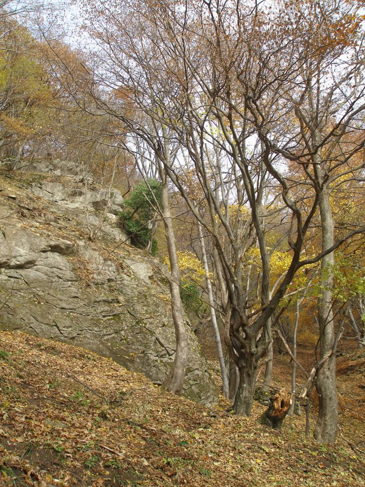 Donačka gora 29.12.17.11.7.10.4.8.28.7.2012. - foto povečava