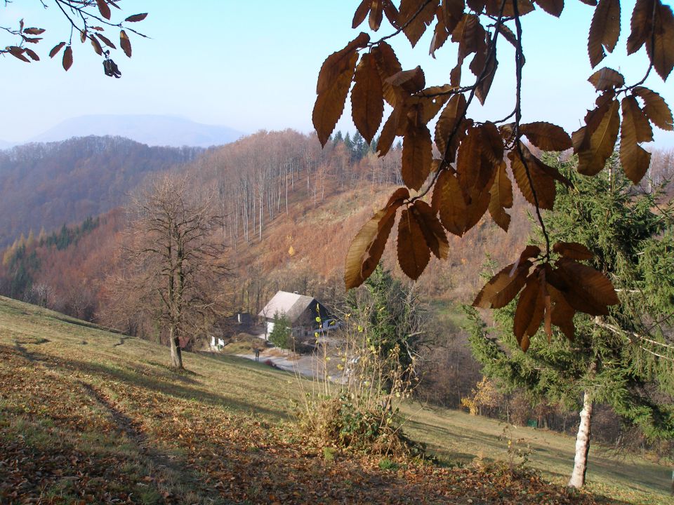 Donačka gora 29.12.17.11.7.10.4.8.28.7.2012. - foto povečava