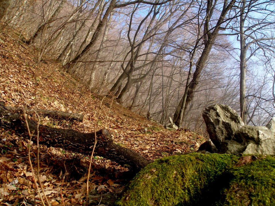 Donačka gora 29.12.17.11.7.10.4.8.28.7.2012. - foto povečava