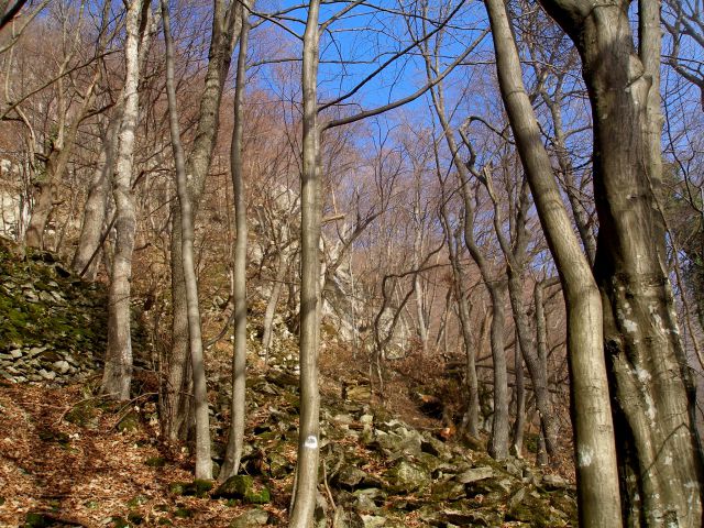 Donačka gora 29.12.17.11.7.10.4.8.28.7.2012. - foto