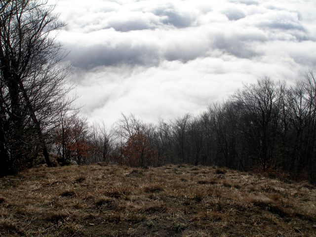 Donačka gora 29.12.17.11.7.10.4.8.28.7.2012. - foto