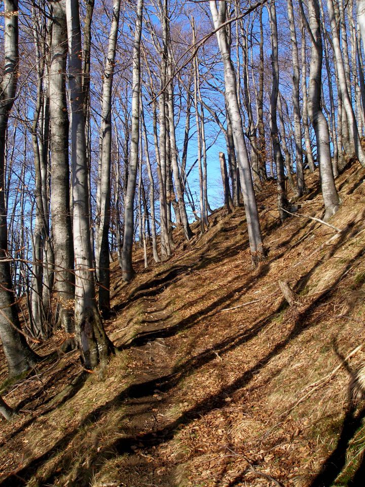 Donačka gora 29.12.17.11.7.10.4.8.28.7.2012. - foto povečava