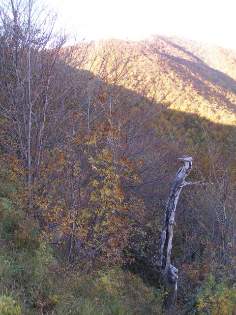 Ivanščica /19.8./20.10.2012 - foto