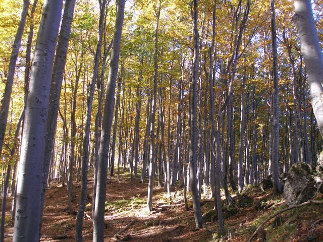 Ivanščica /19.8./20.10.2012 - foto