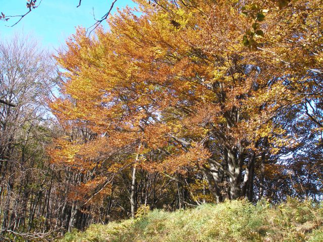 Ivanščica /19.8./20.10.2012 - foto