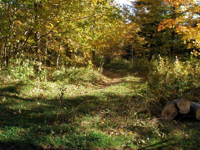 Ivanščica /19.8./20.10.2012 - foto