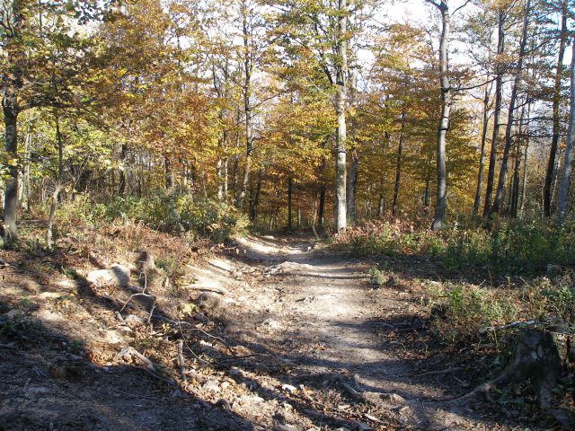 Ivanščica /19.8./20.10.2012 - foto