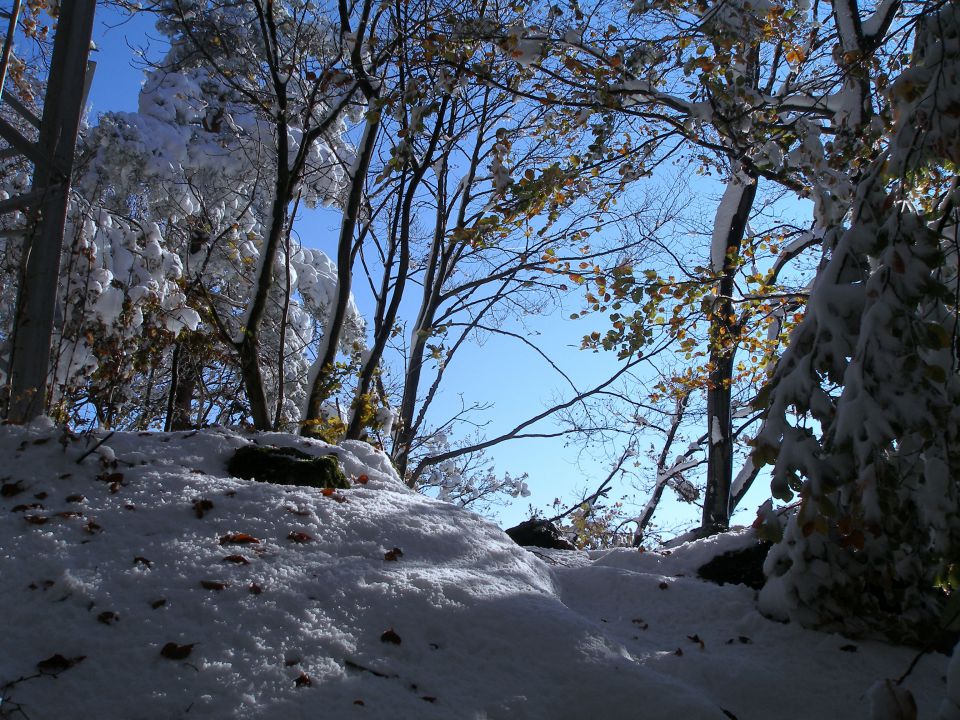 Ravna gora 1.12./24.11./10.11./30.10.2012 - foto povečava