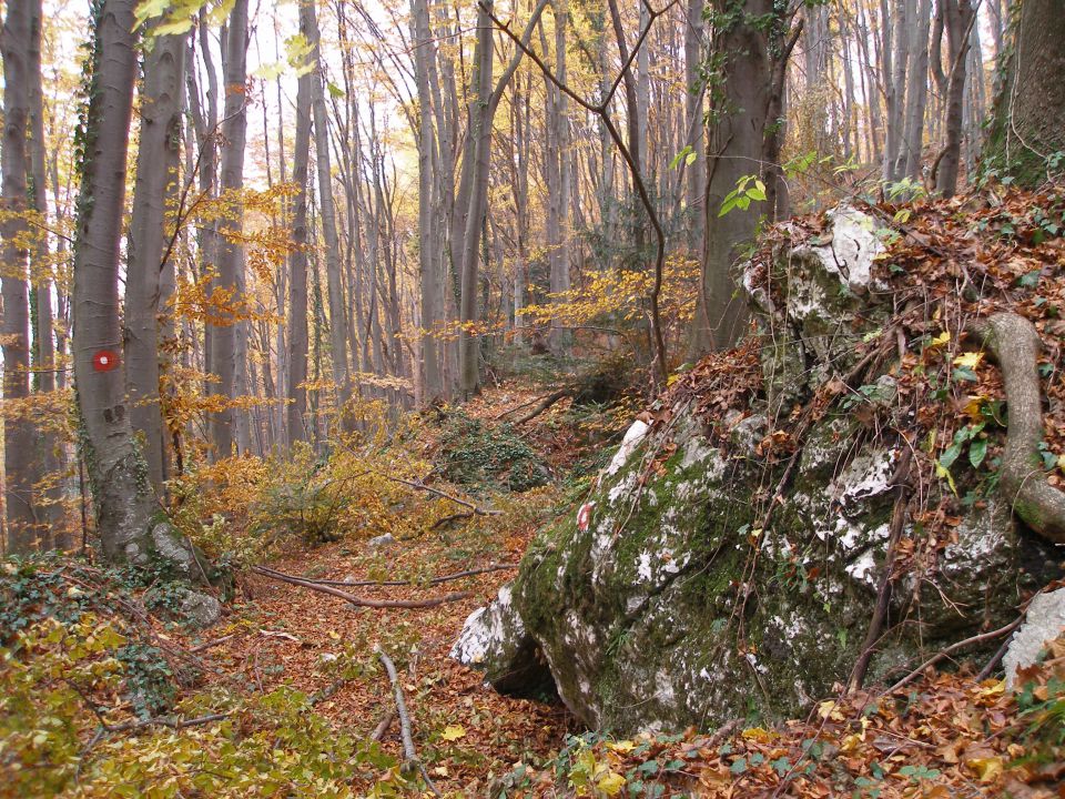 Ravna gora 1.12./24.11./10.11./30.10.2012 - foto povečava