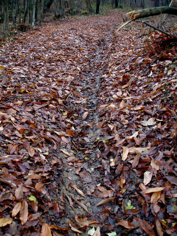 Ravna gora 1.12./24.11./10.11./30.10.2012 - foto povečava