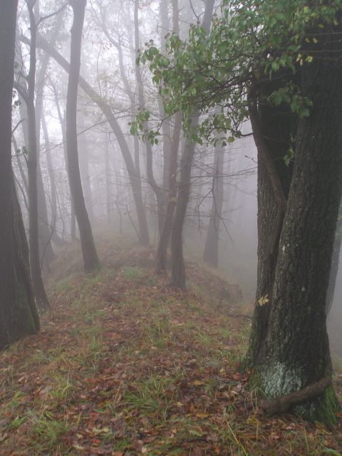 Sv.Avguštin 3.11.2012 - foto