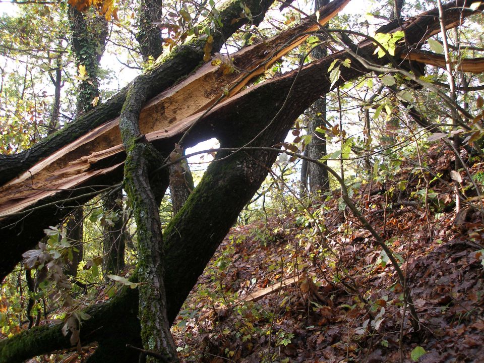 Sv.Avguštin 3.11.2012 - foto povečava