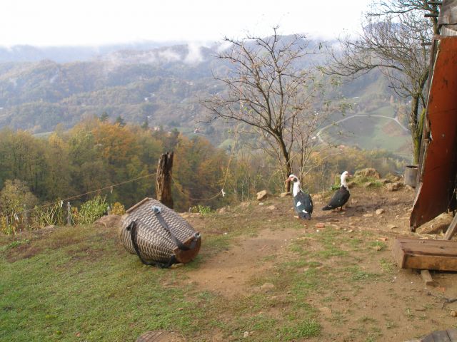 Sv.Avguštin 3.11.2012 - foto