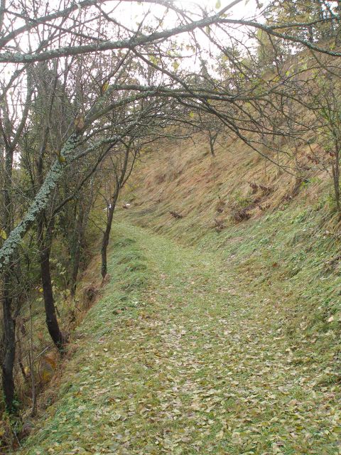 Sv.Avguštin 3.11.2012 - foto