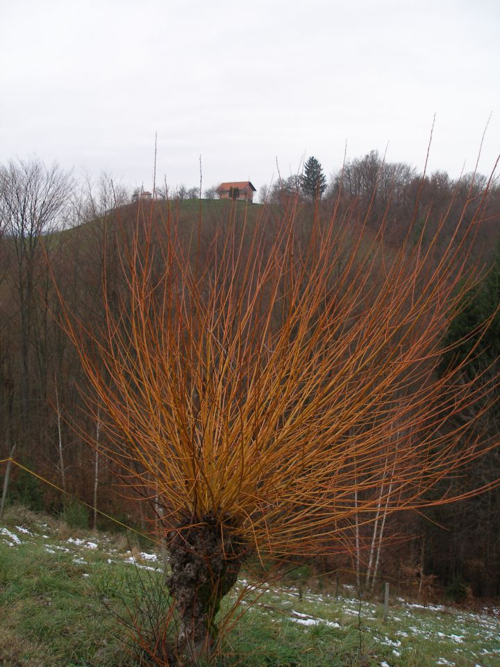 Barbarin pohod 04.12.2012 - foto povečava