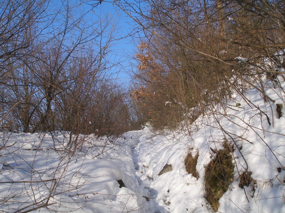 Ravna gora 31.12. / 20.12./12.12. 2012 - foto povečava