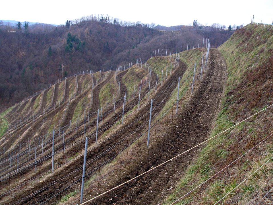 Ptujska gora 15.8./22.6./ 4.1.2013 - foto povečava