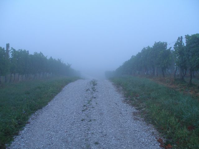 Ptujska gora 15.8./22.6./ 4.1.2013 - foto