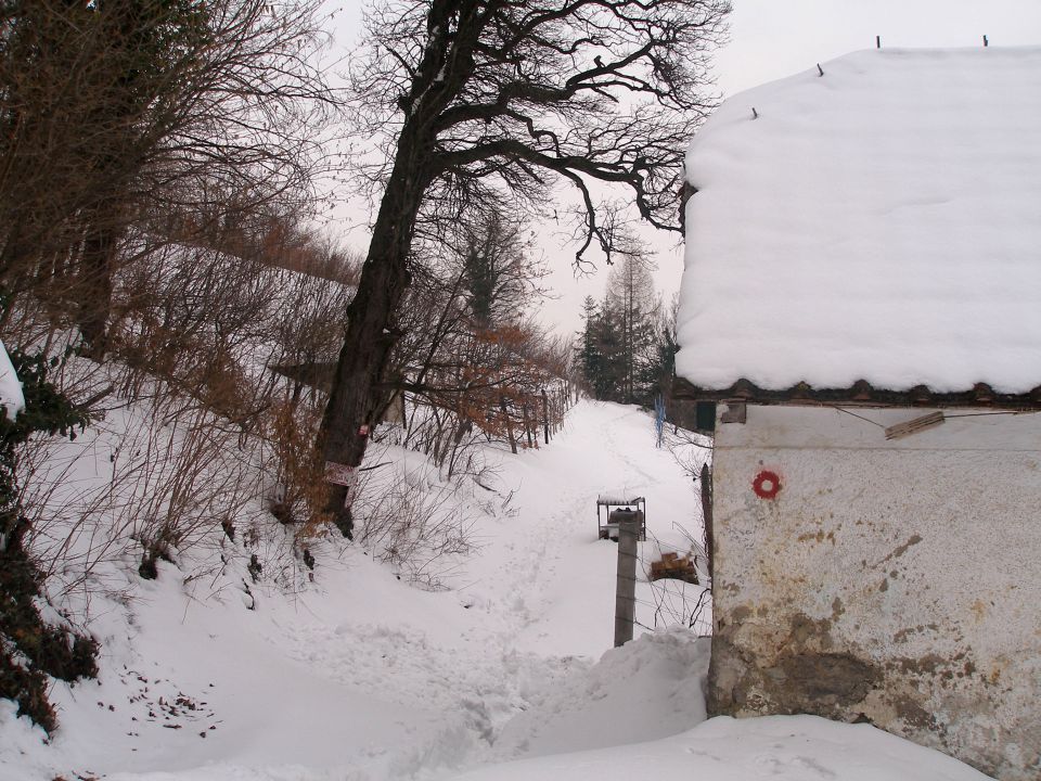 po kačji naprej gor