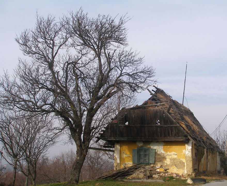 Bračičeva pot 20.4./5.3./10.1.2013 - foto povečava