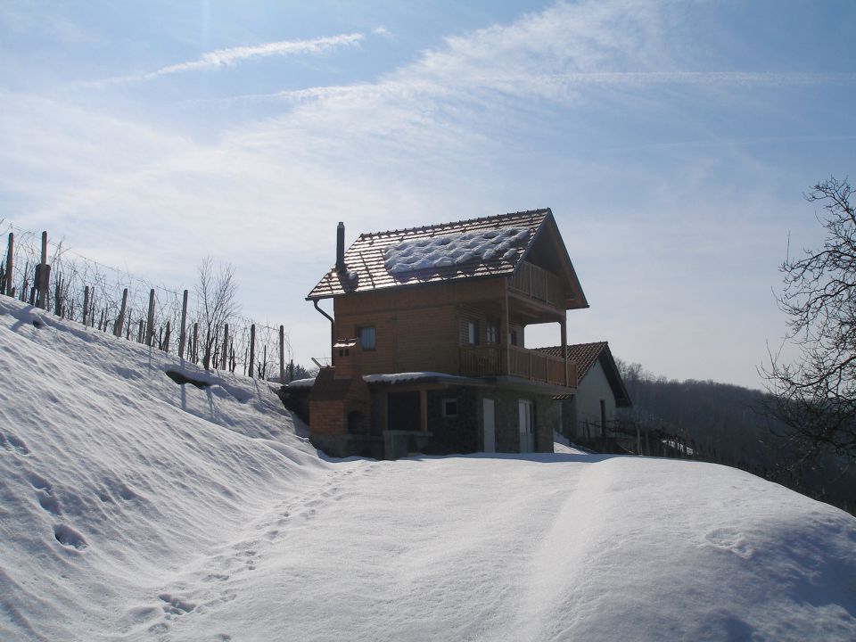 Bračičeva pot 20.4./5.3./10.1.2013 - foto povečava