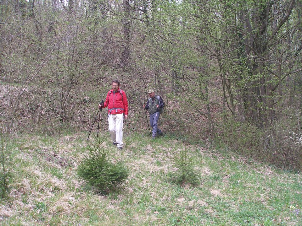 Bračičeva pot 20.4./5.3./10.1.2013 - foto povečava