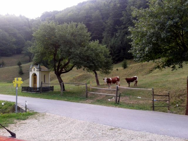 Sv.Avguštin - 20.9./21.8./26.4./31.1.2013 - foto